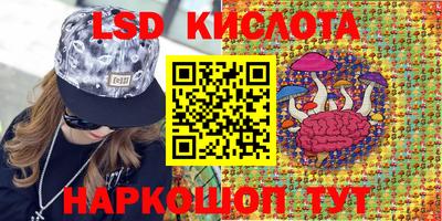 стафф Будённовск