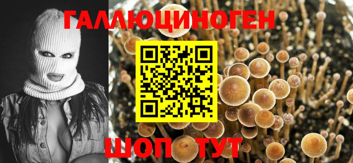 Саратов  Галлюциногенные грибы прущие грибы  Псилоцибиновые грибы Magic Shrooms  Вход с VPN 